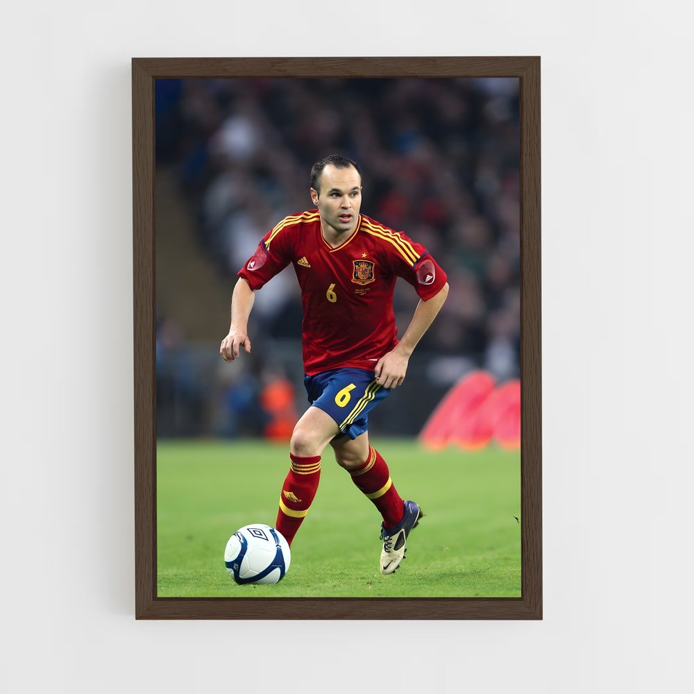 Poster Maestro de la Pelote (vue 5)